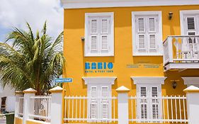 Bario Hotel